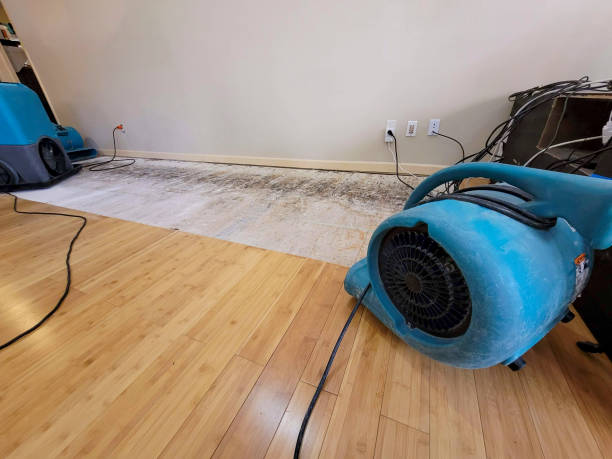 Reliable Basement Flood Cleanup contractor in Laton, CA by Hirex Water Damage