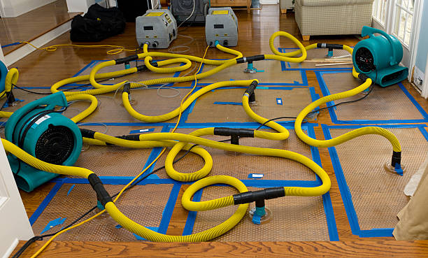 Professional Basement Flood Cleanup technician working in Laton, CA